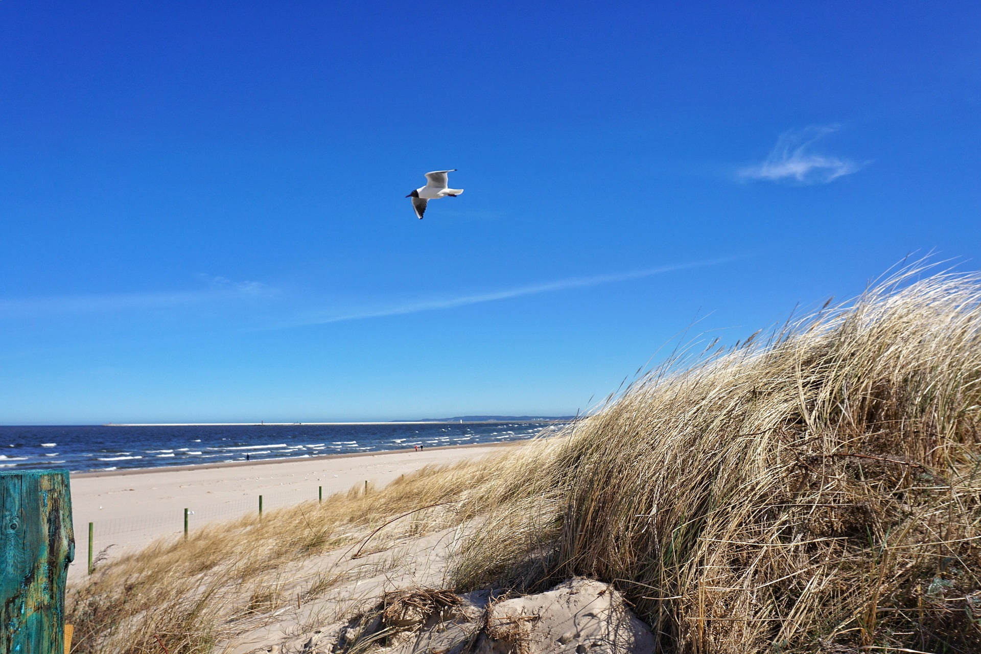 Swinoujscie fot. skuter56 - pixabay.com