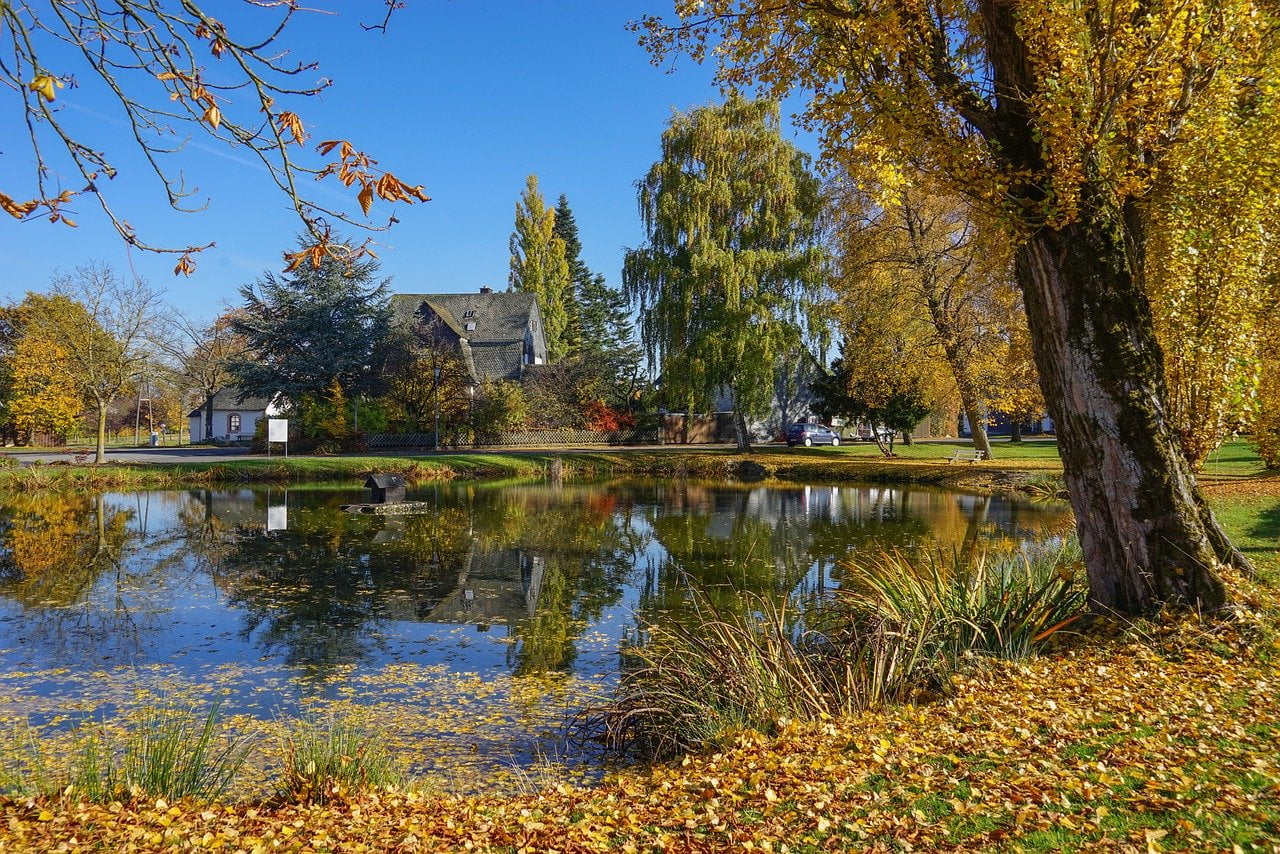 staw jezioro