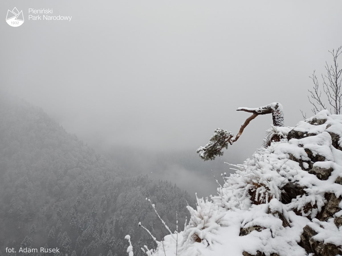 Pieniny fot. Adam Rusek Pieniński Park Narodowy