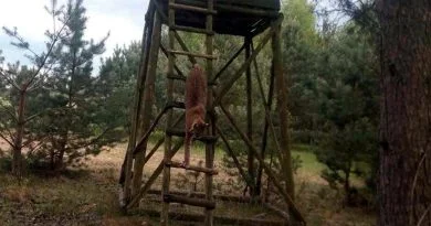 Ryś fot. UMiG Trzcianka