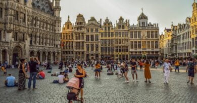 Belgia, Bruksela fot. dimitrisvetsikas, pixabay